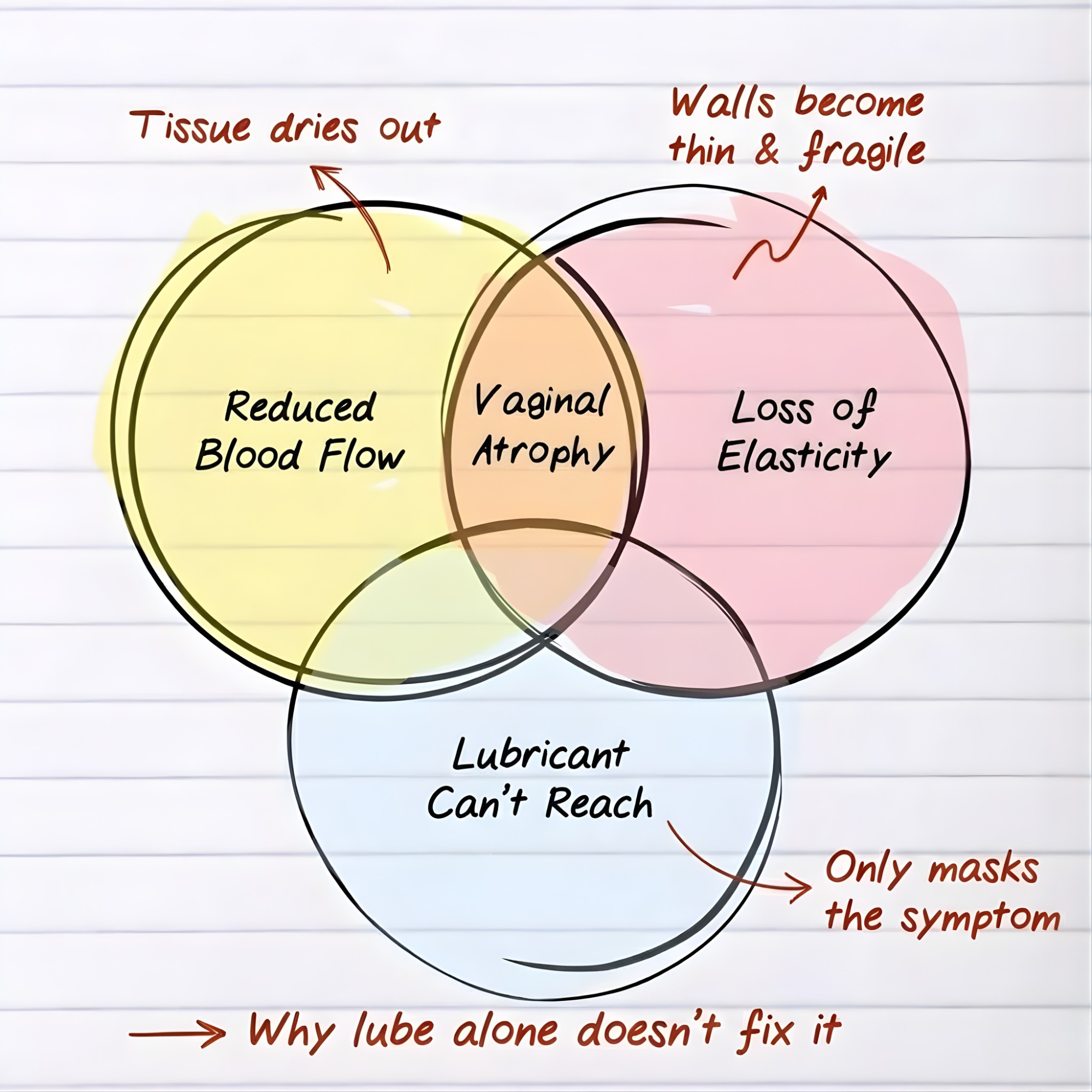 Moodie Wellness Device 17 Moodie 02