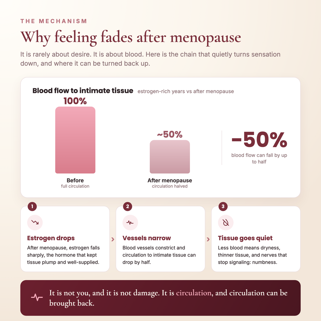 How menopause lowers circulation to intimate tissue