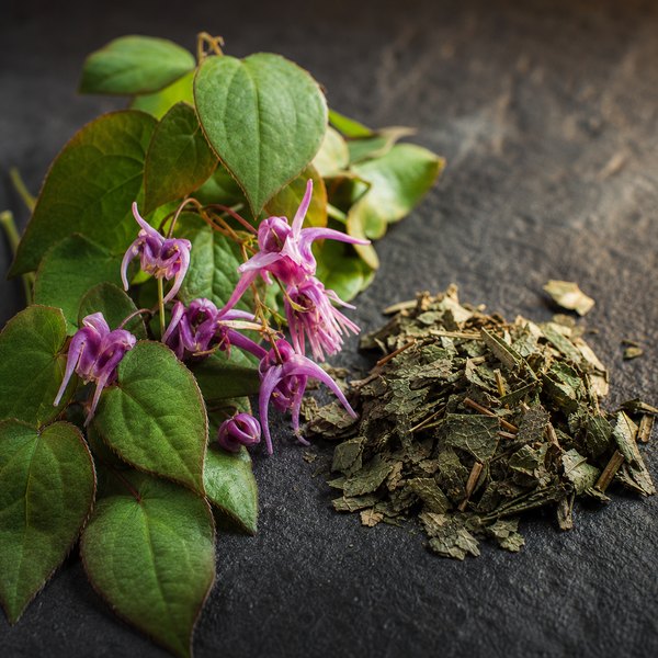 Horny goat weed leaves and flowers